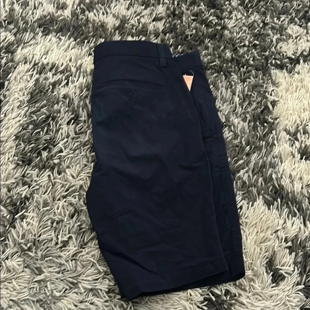 Banana Republic Blue Flat Front Shorts with Classic Style